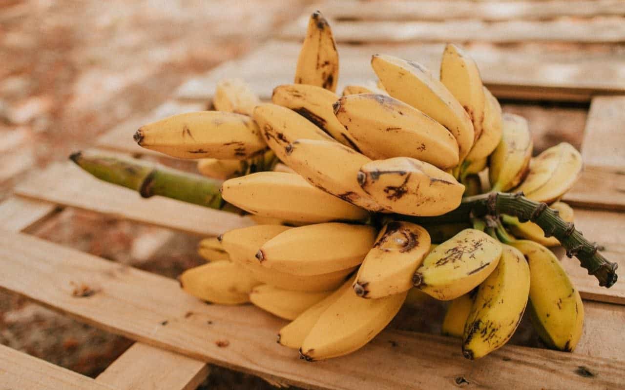 Le secret français pour conserver les bananes jaunes et fraîches pendant plusieurs jours : voici comment les stocker