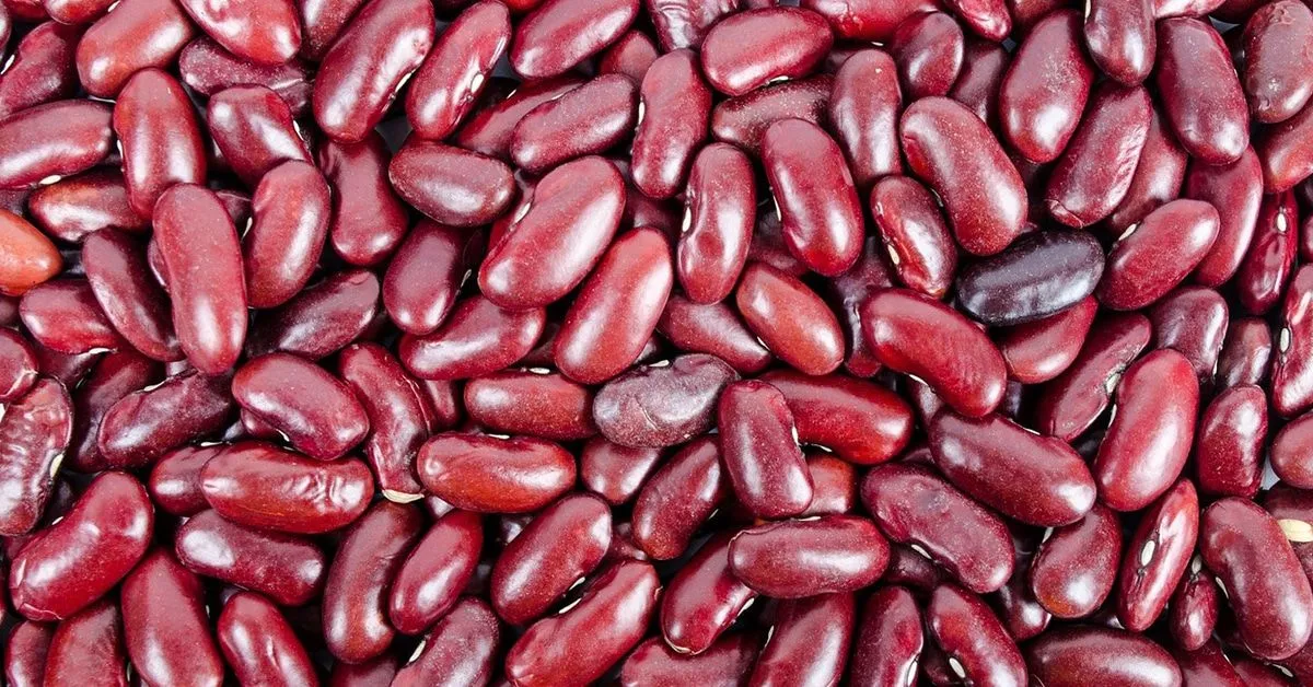 Lentilles, haricots et pois chiches, oui, mais d'ici : voici 12 variétés de légumineuses avec leur appellation française.