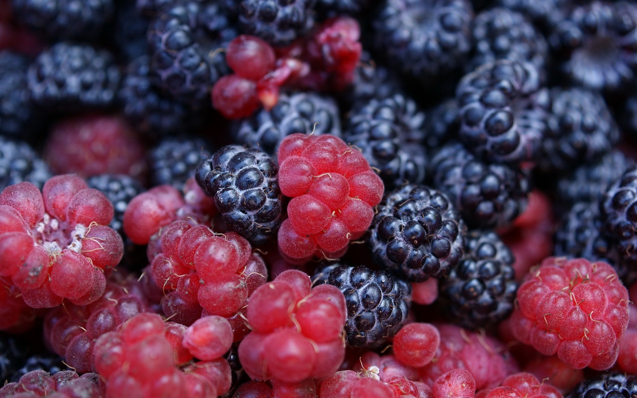 Ce n'est ni une framboise ni une mûre. On trouve ce fruit dans les jardins et les parcs. C'est un vrai délice, bon pour le cœur.