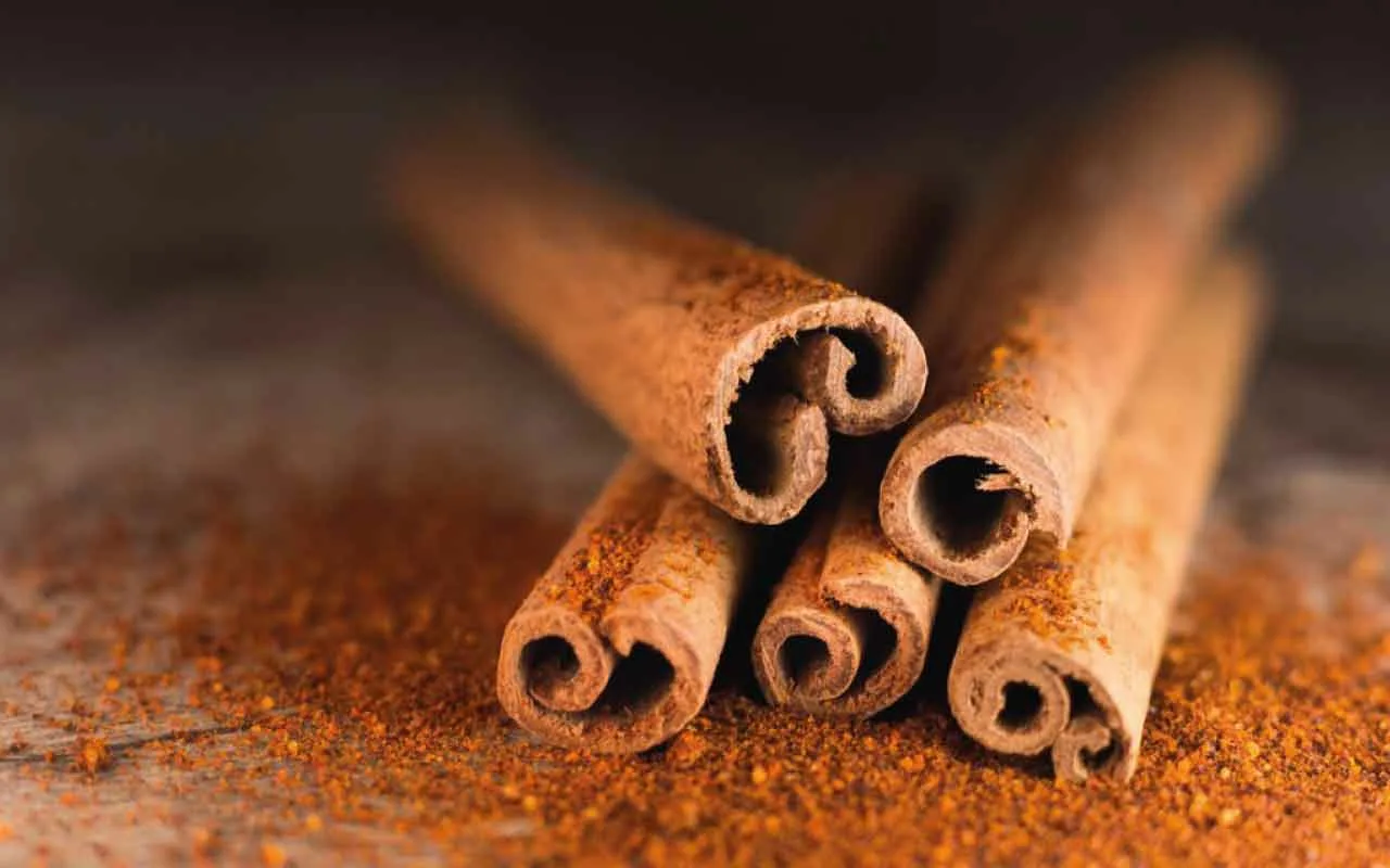 Une gourmandise croustillante pour les amateurs de sucré : le meilleur apéritif à base de bretzels à la cannelle.