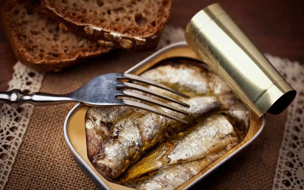 sardines