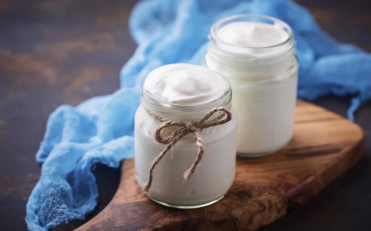 Les yaourts classiques font pâle figure à côté d'eux. Ils sont riches en protéines et ne contiennent pratiquement pas de matières grasses.